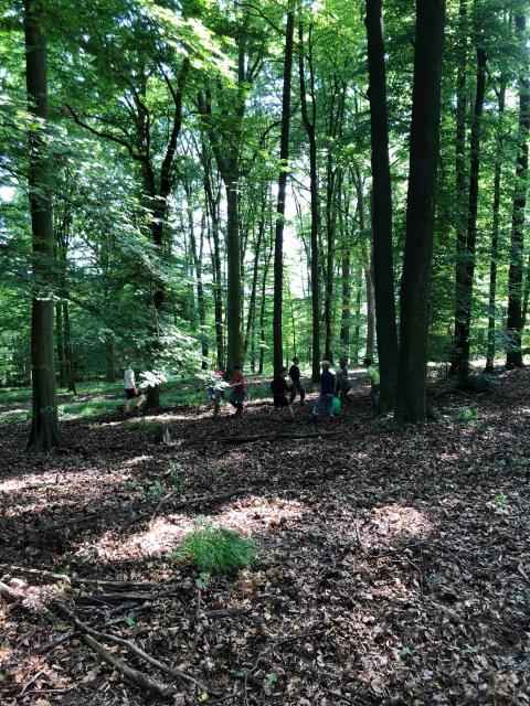 2018-05-19 hneda na prehrade (1)